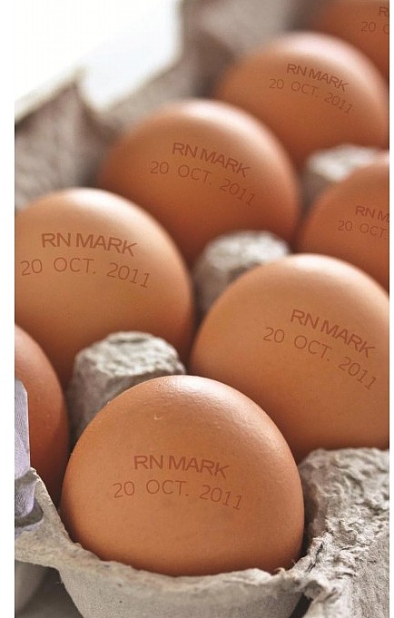 RN EGG,RNJet 100 Принтер Малых Знаков